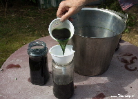 decanting woad liquid into jars with plastic pot | woad.org.uk